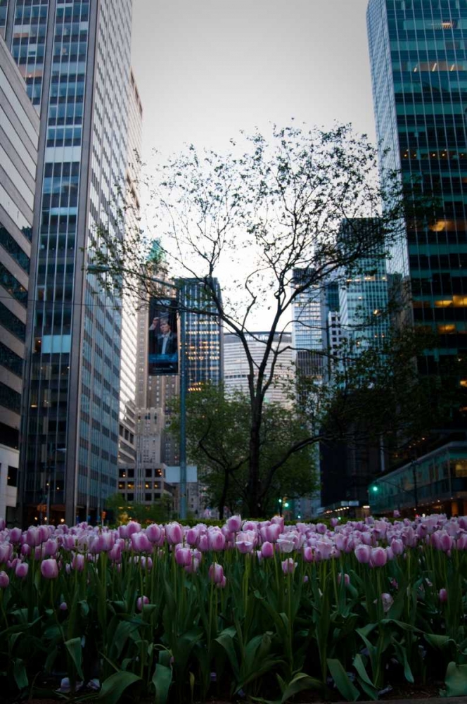 Tulips in Manhattan art print by Erin Berzel for $57.95 CAD