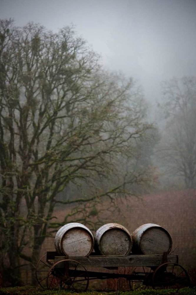 Oregon Wine Country I art print by Erin Berzel for $57.95 CAD