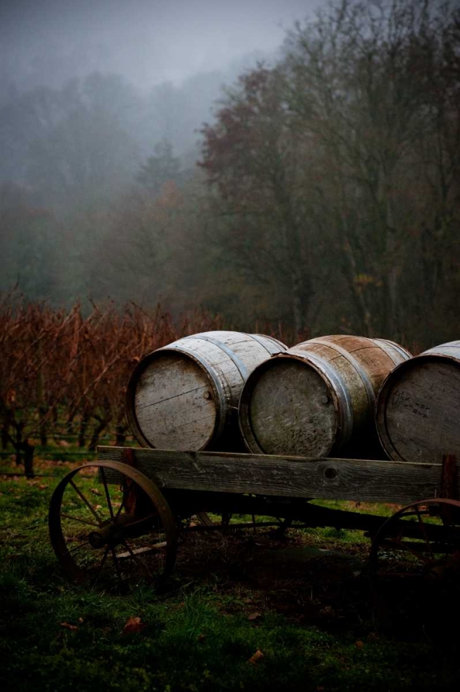 Oregon Wine Country II art print by Erin Berzel for $57.95 CAD