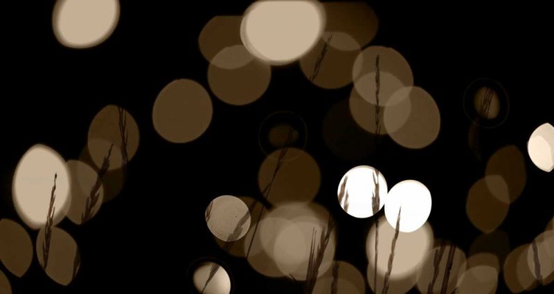Bokeh Grass II art print by Erin Berzel for $57.95 CAD