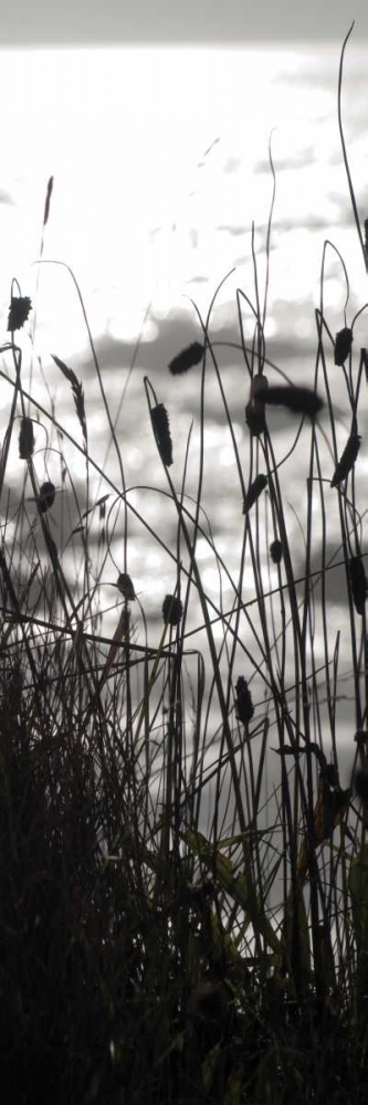 Coastal Grass Panel II art print by Erin Berzel for $57.95 CAD