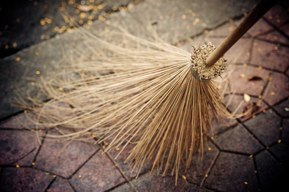 Thai Broom I art print by Erin Berzel for $57.95 CAD