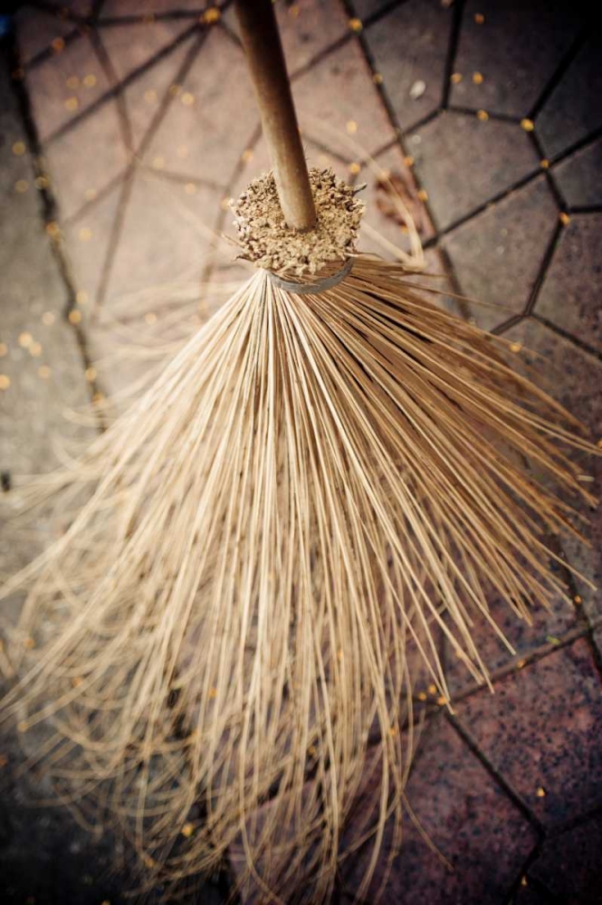 Thai Broom II art print by Erin Berzel for $57.95 CAD