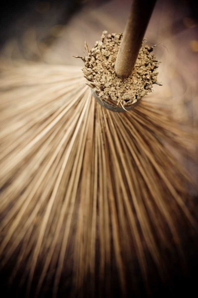 Thai Broom III art print by Erin Berzel for $57.95 CAD