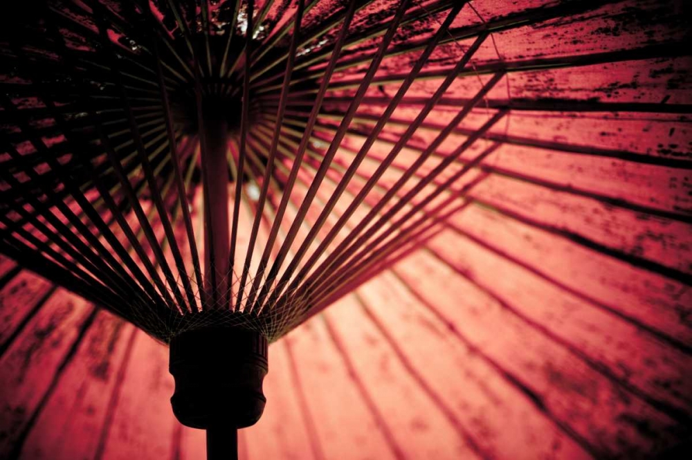 Cambodia Umbrella art print by Erin Berzel for $57.95 CAD