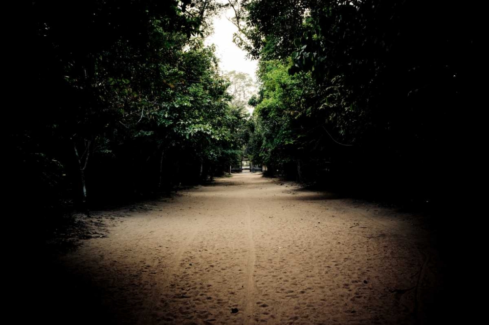 Pathway at Preah Khan art print by Erin Berzel for $57.95 CAD