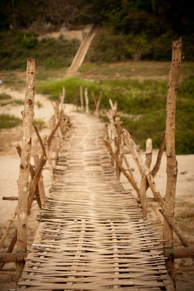 Bamboo Bridge art print by Erin Berzel for $57.95 CAD