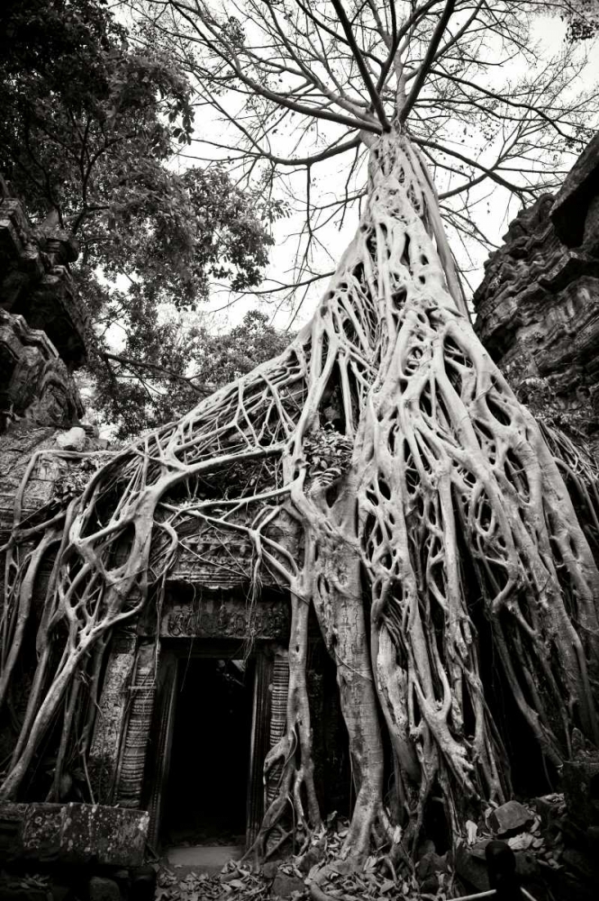 Doorway and Roots I art print by Erin Berzel for $57.95 CAD