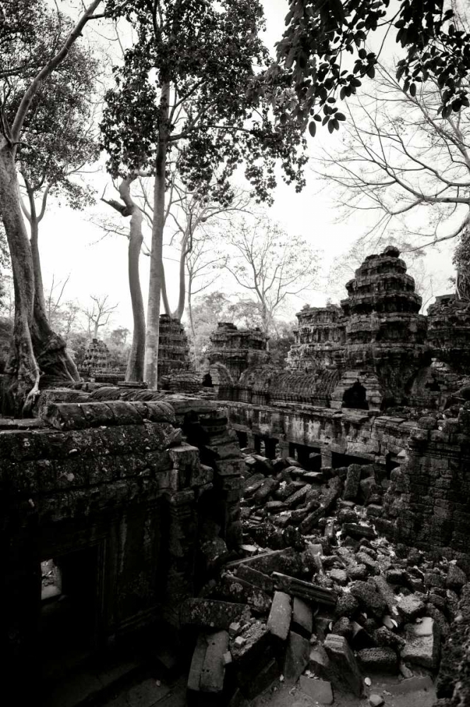Ancient Ta Prohm IV art print by Erin Berzel for $57.95 CAD
