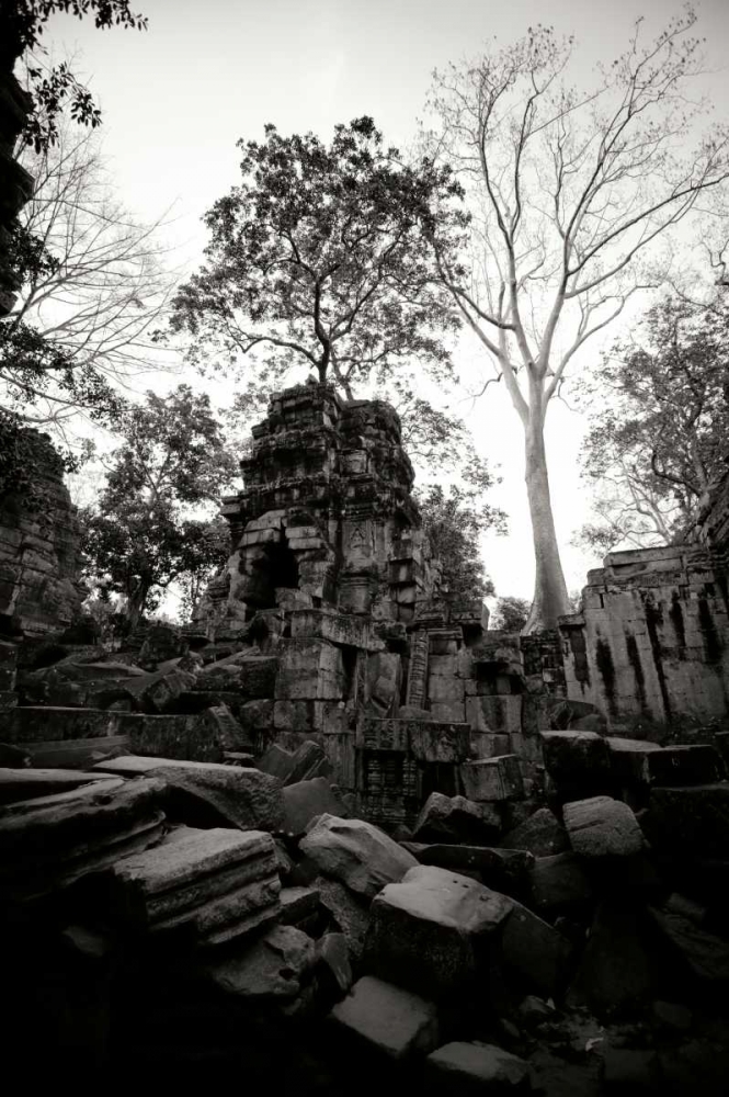 Ancient Ta Prohm I art print by Erin Berzel for $57.95 CAD