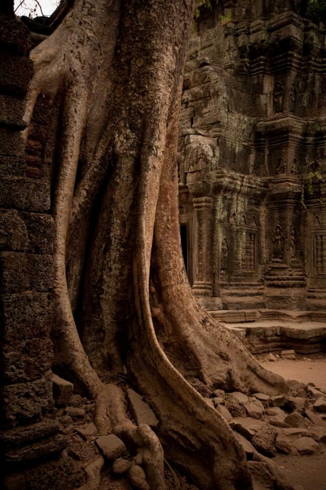 Roots and Ruins I art print by Erin Berzel for $57.95 CAD