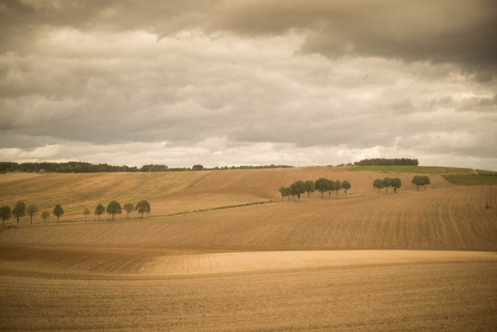 French Countryside I art print by Erin Berzel for $57.95 CAD