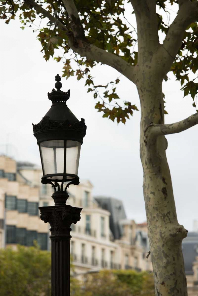 Parisian Lightposts II art print by Erin Berzel for $57.95 CAD
