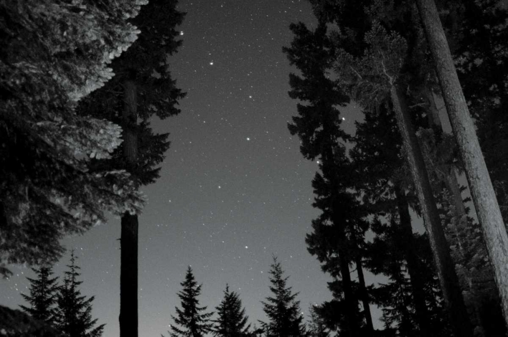 BW Starry Night I art print by Erin Berzel for $57.95 CAD