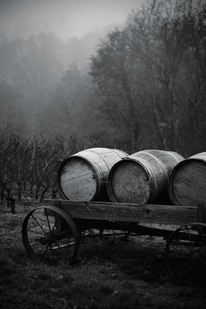 BW Oregon Wine Country II art print by Erin Berzel for $57.95 CAD