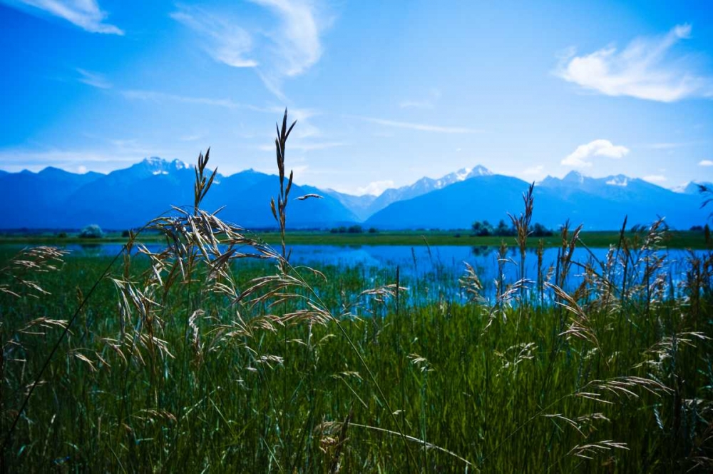 Mission Mountains II art print by Erin Berzel for $57.95 CAD