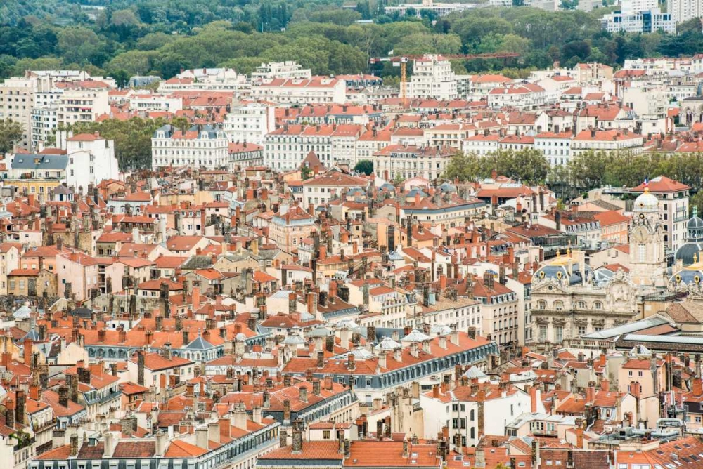 Lyon Rooftops I art print by Erin Berzel for $57.95 CAD
