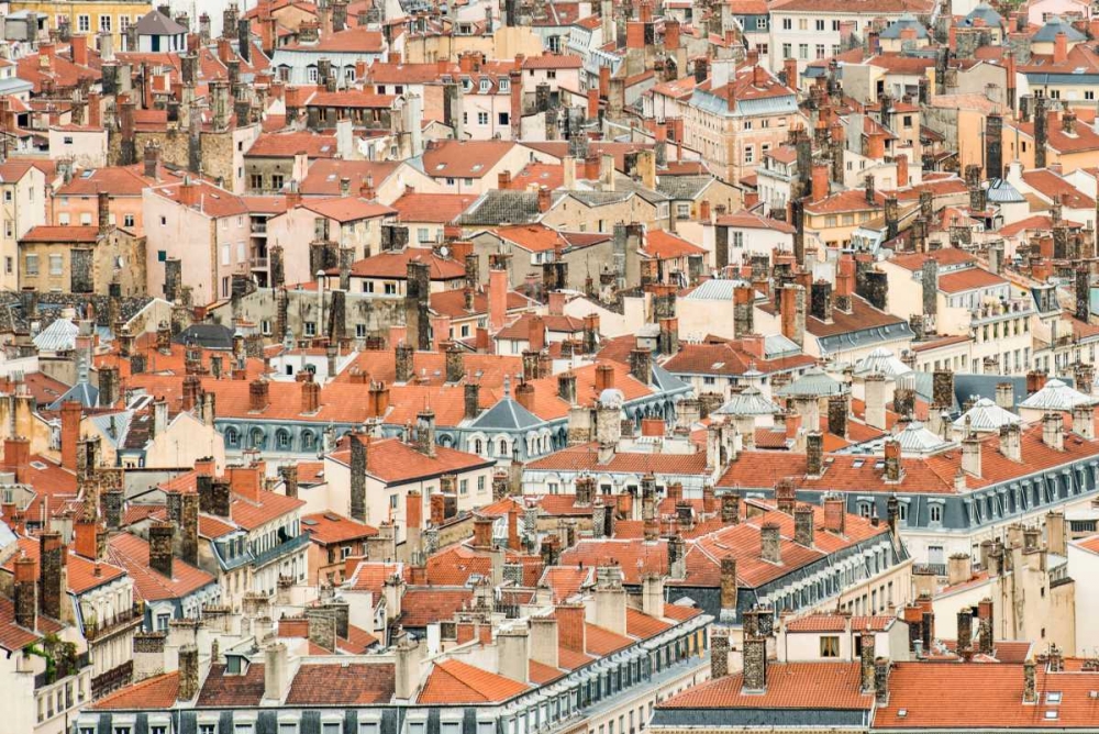 Lyon Rooftops II art print by Erin Berzel for $57.95 CAD