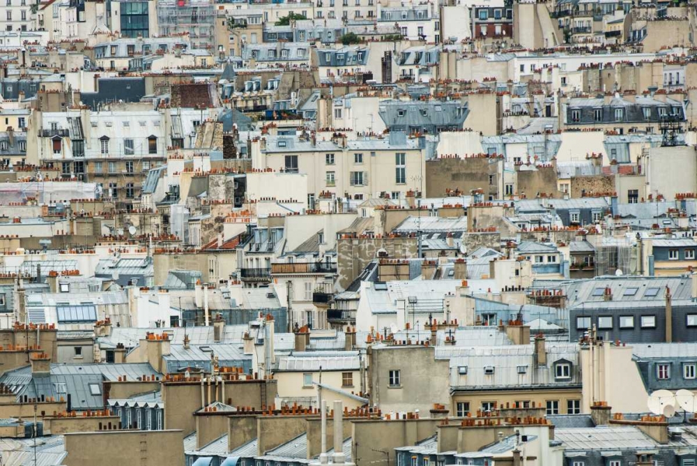 Paris Rooftops I art print by Erin Berzel for $57.95 CAD