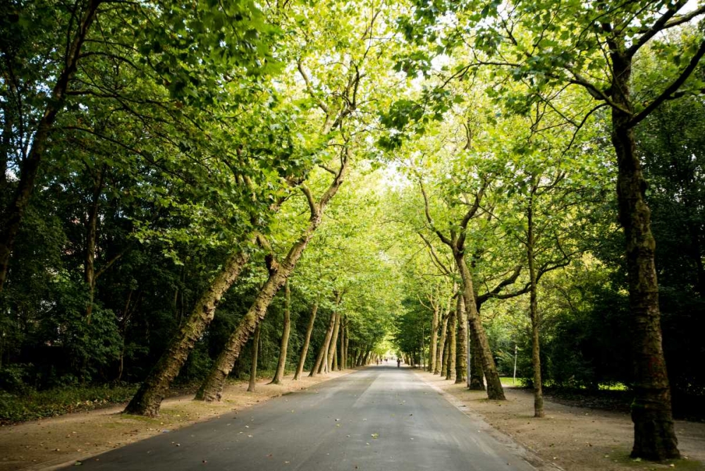 Amsterdam Vondelpark I art print by Erin Berzel for $57.95 CAD