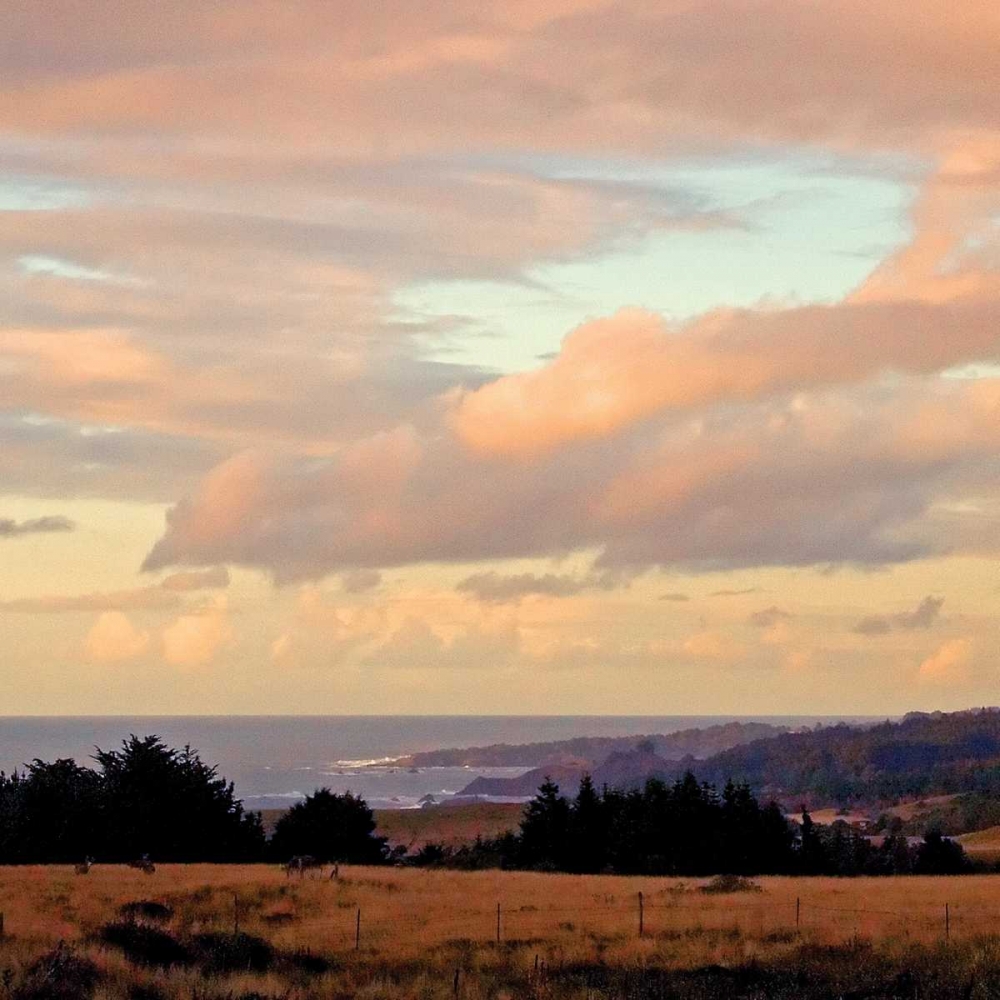 Evening Sky I art print by Rita Crane for $57.95 CAD