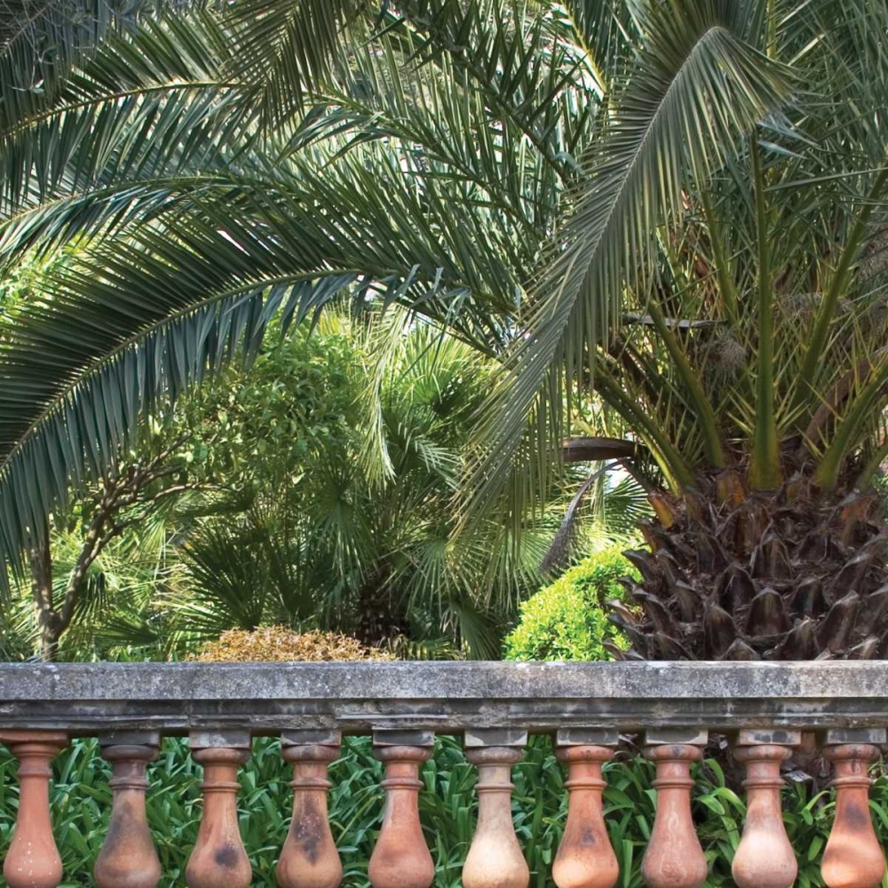 Palace Garden Palms I art print by Rita Crane for $57.95 CAD