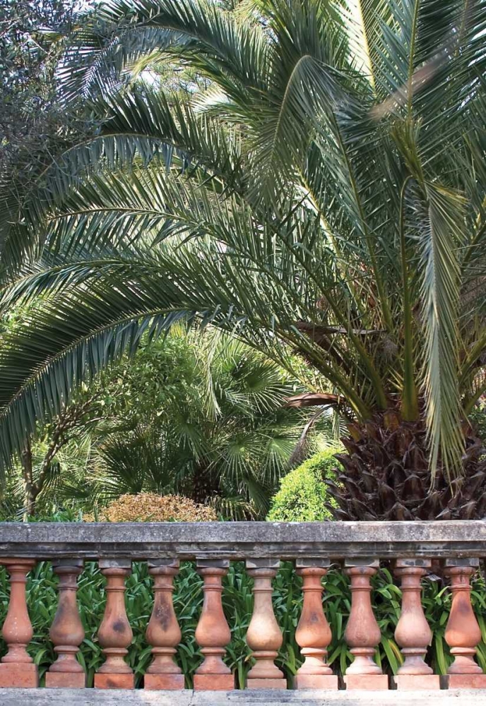 Palace Garden Palms II art print by Rita Crane for $57.95 CAD