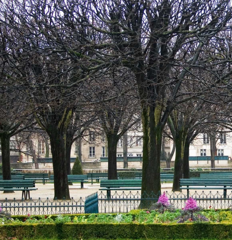 Jardin de Notre Dame I art print by Rita Crane for $57.95 CAD