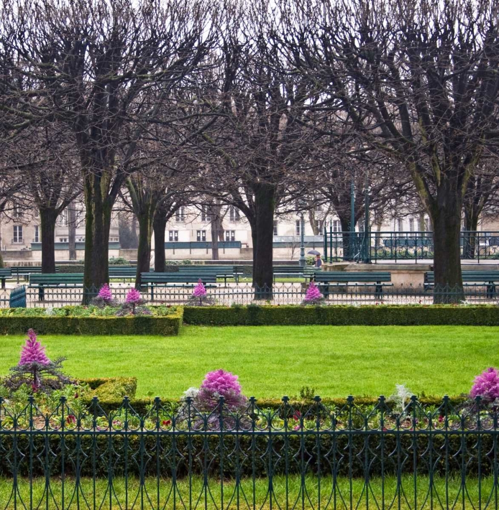 Jardin de Notre Dame II art print by Rita Crane for $57.95 CAD