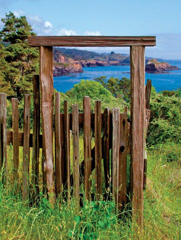 Redwood Gateway art print by Rita Crane for $57.95 CAD