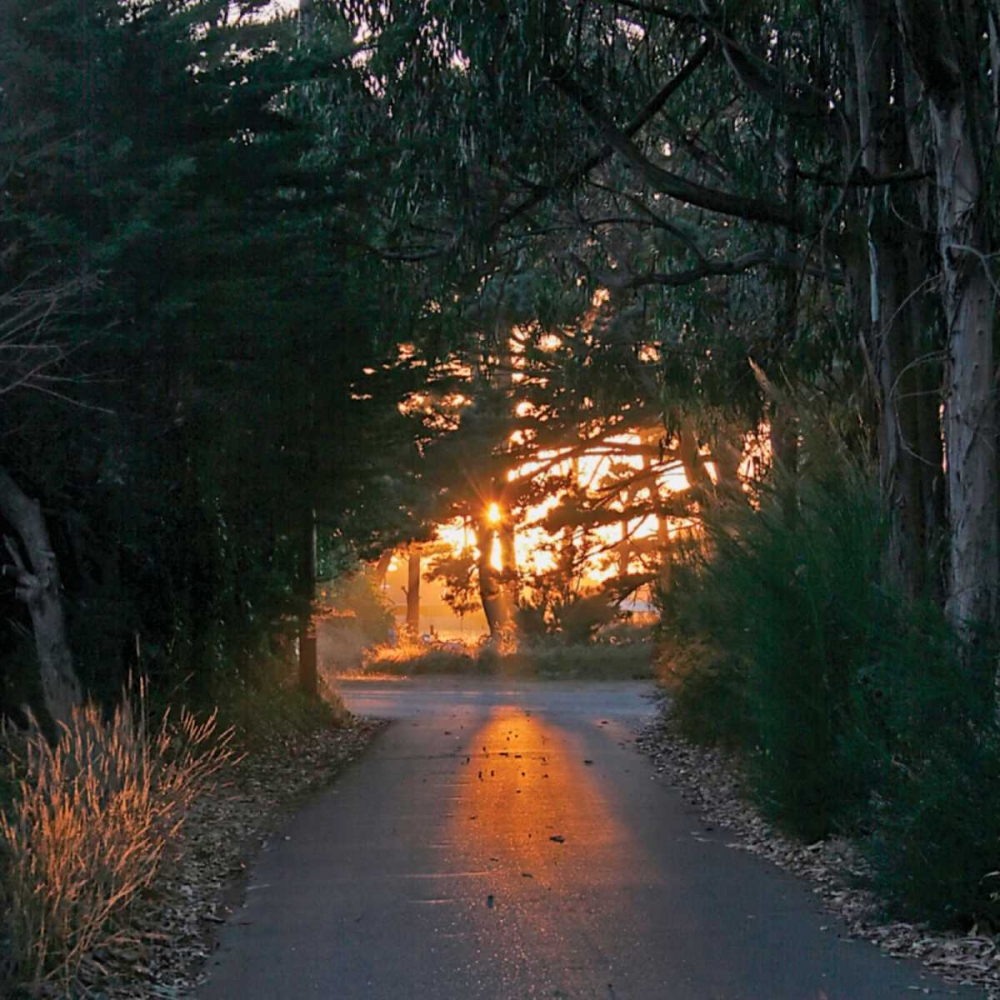 The Road Home art print by Rita Crane for $57.95 CAD
