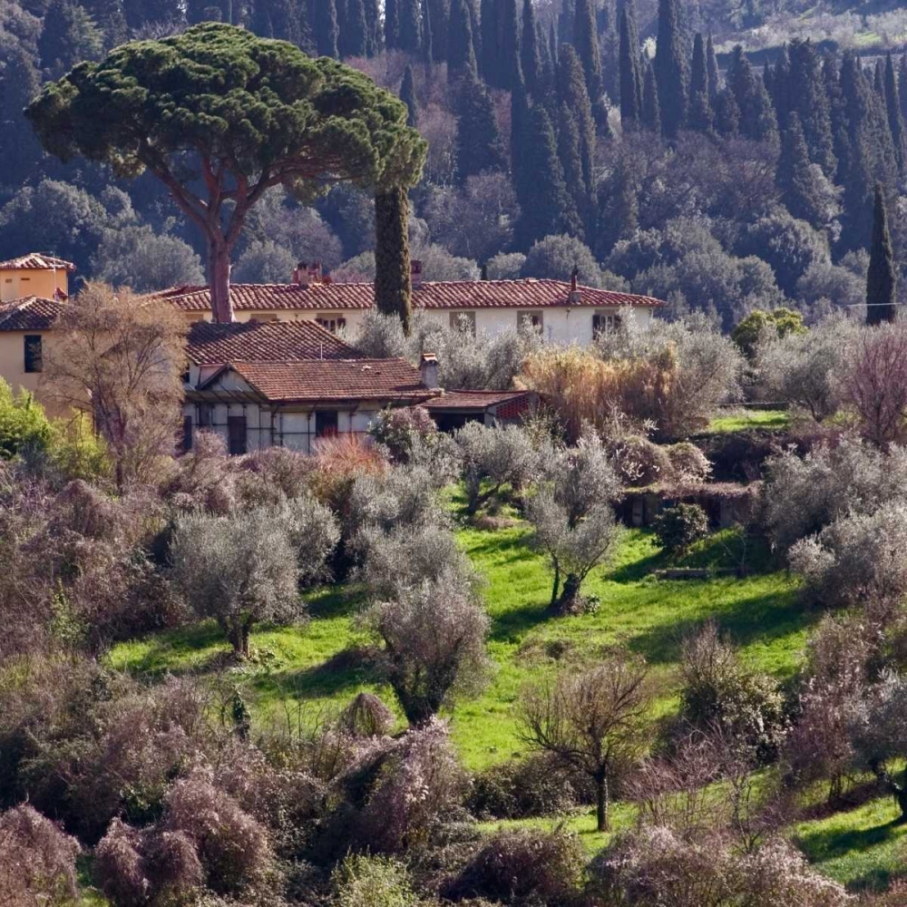 Afternoon in Tuscany art print by Rita Crane for $57.95 CAD