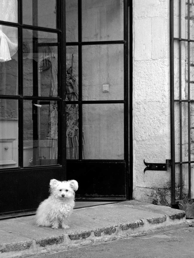 Little Dog V art print by Rita Crane for $57.95 CAD