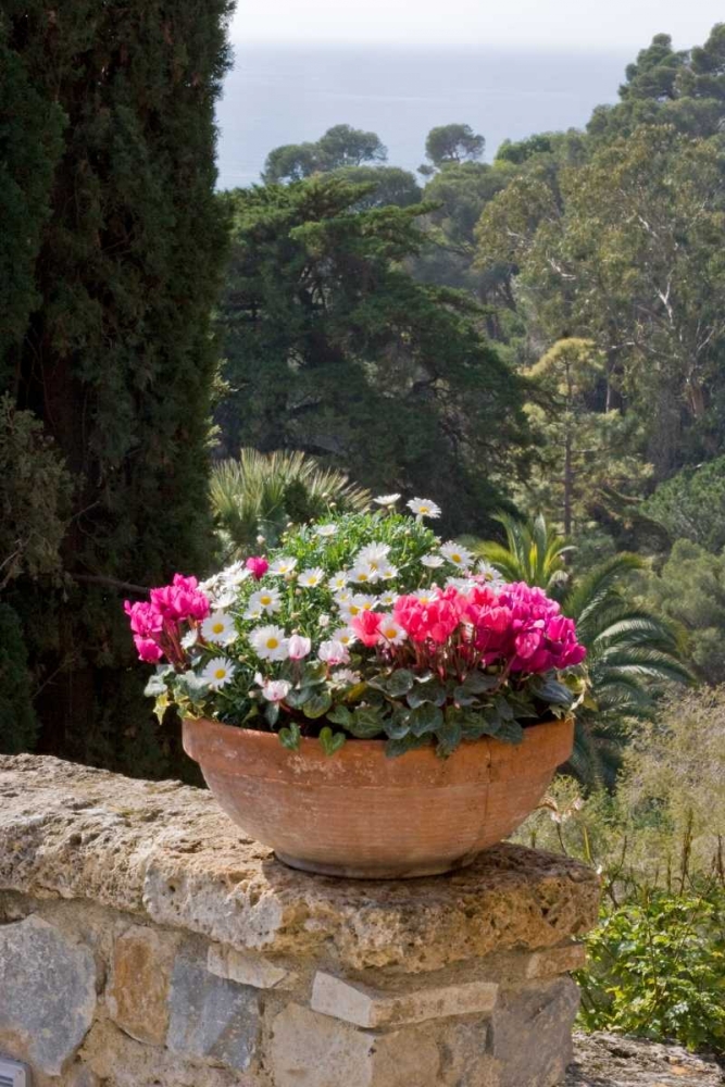 Italian Garden I art print by Rita Crane for $57.95 CAD