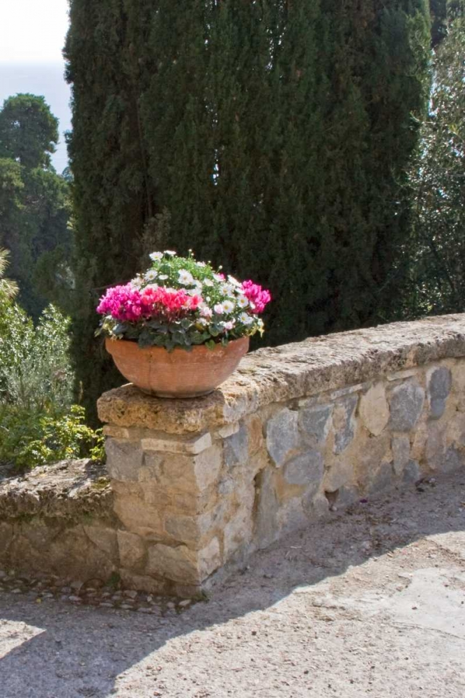 Italian Garden II art print by Rita Crane for $57.95 CAD