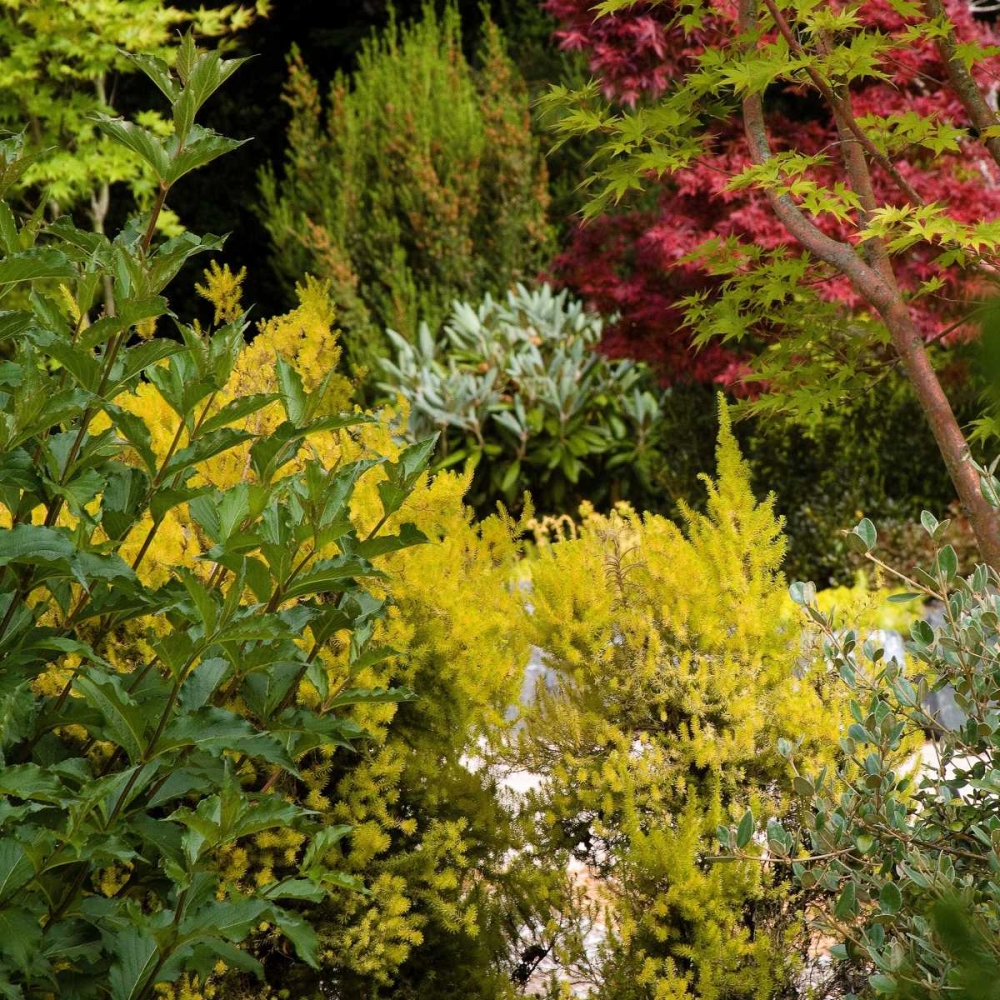 Garden Tapestry I art print by Rita Crane for $57.95 CAD