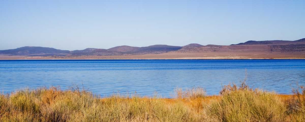 Desert Lake I art print by Rita Crane for $57.95 CAD