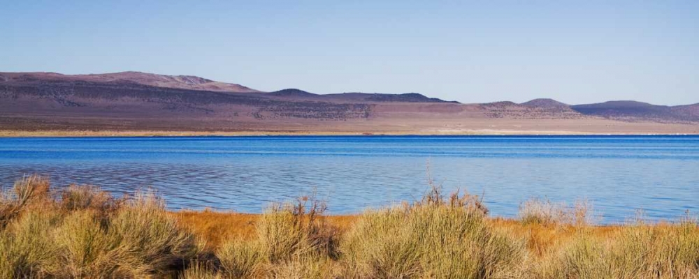 Desert Lake II art print by Rita Crane for $57.95 CAD