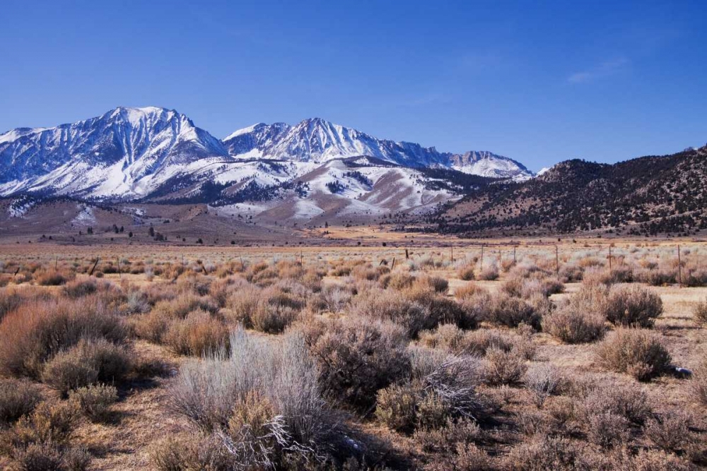 Eastern Sierra I art print by Rita Crane for $57.95 CAD