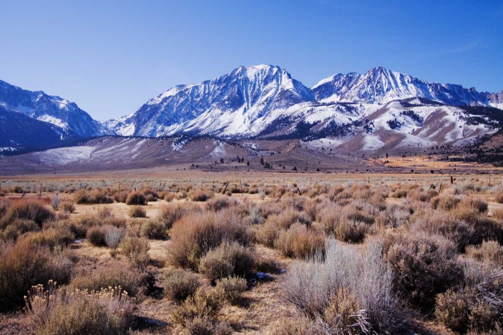 Eastern Sierra II art print by Rita Crane for $57.95 CAD