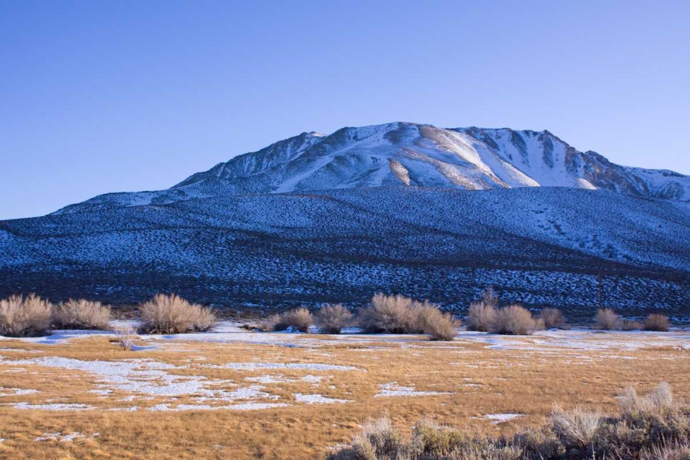 Eastern Sierra III art print by Rita Crane for $57.95 CAD