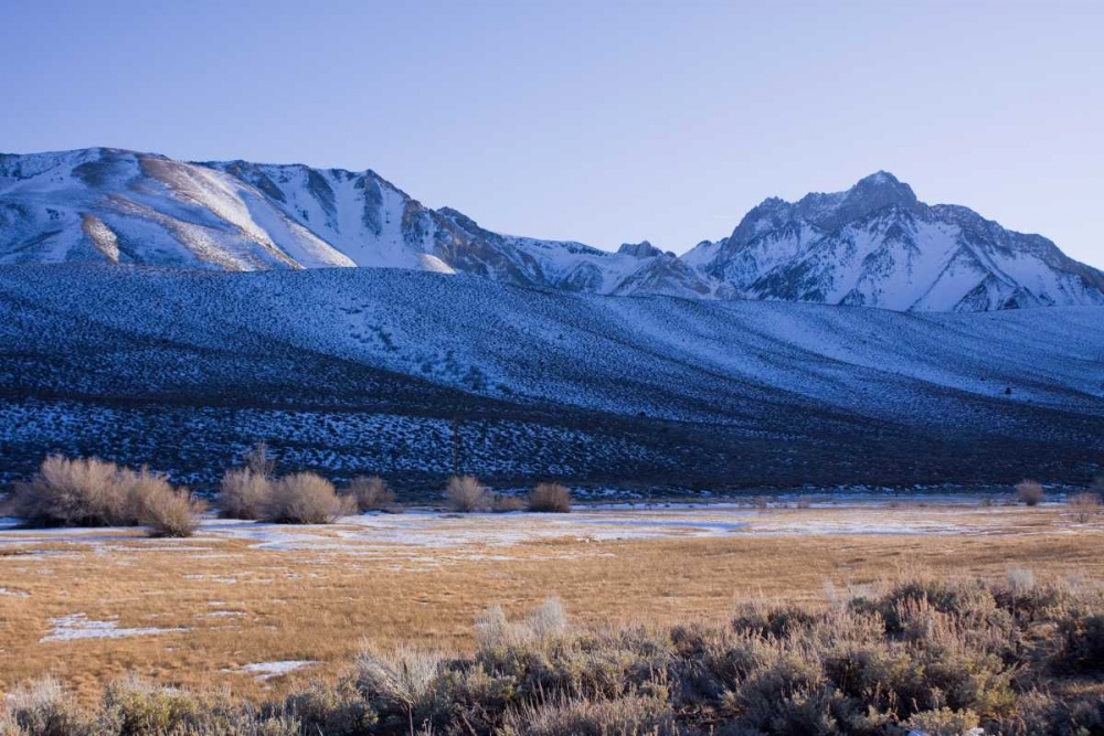 Eastern Sierra IV art print by Rita Crane for $57.95 CAD