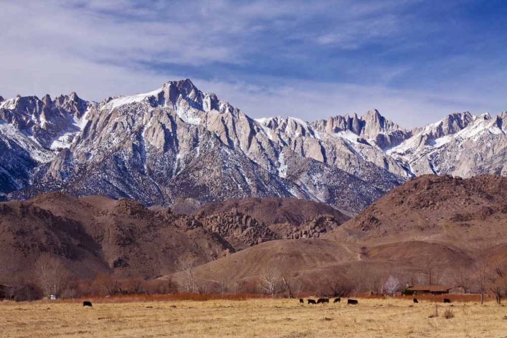 Mt. Whitney Range I art print by Rita Crane for $57.95 CAD