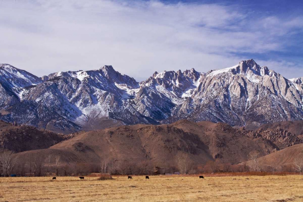 Mt. Whitney Range II art print by Rita Crane for $57.95 CAD