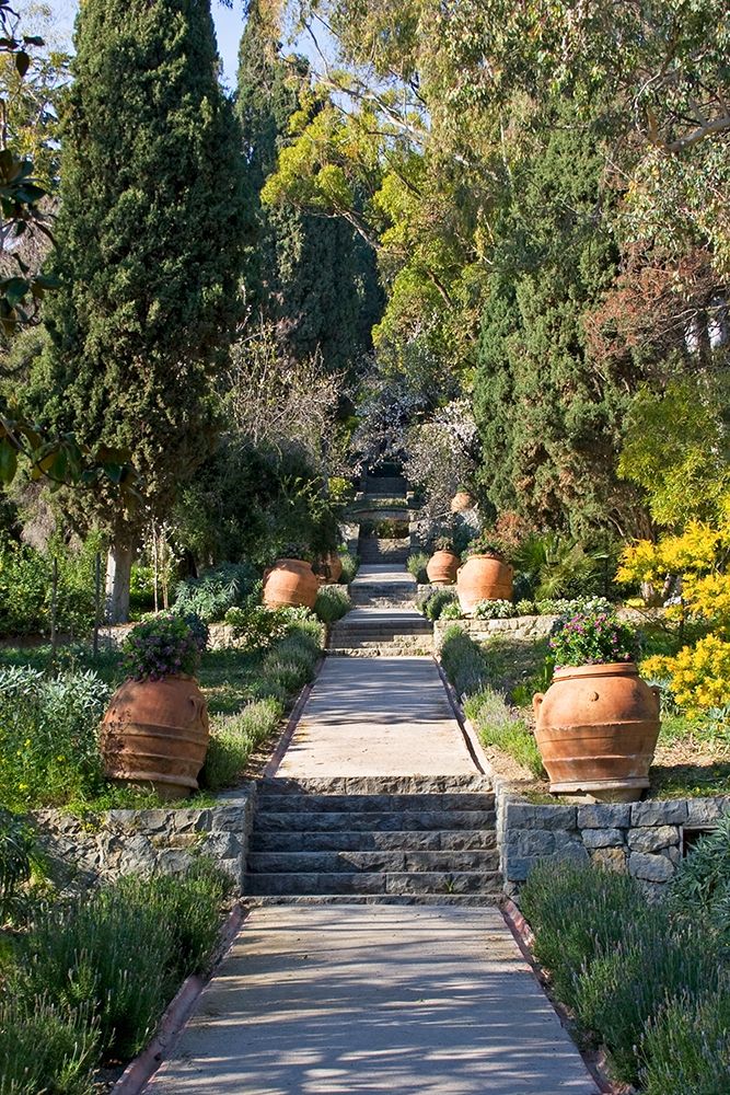Italian Garden I art print by Rita Crane for $57.95 CAD