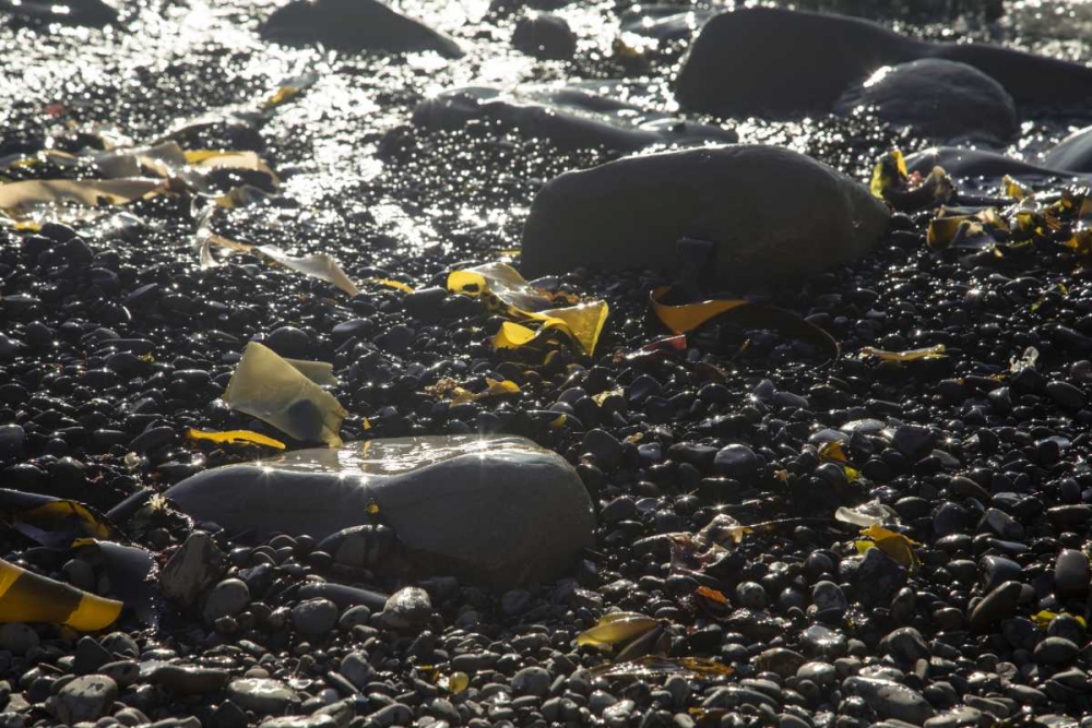 Rocky Shore IV art print by Rita Crane for $57.95 CAD