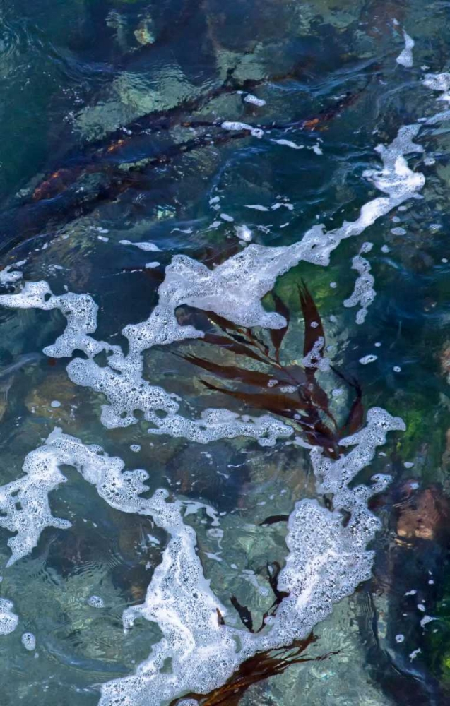 Seafoam IV art print by Rita Crane for $57.95 CAD