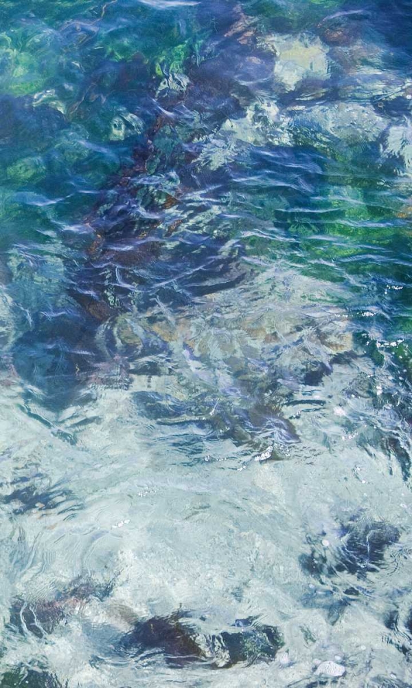 Tide Pool II art print by Rita Crane for $57.95 CAD