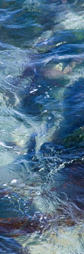 Tide Pool III art print by Rita Crane for $57.95 CAD