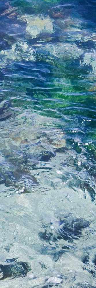 Tide Pool IV art print by Rita Crane for $57.95 CAD